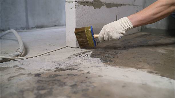 Crawl space vapor barrier installation in Pine River, WI